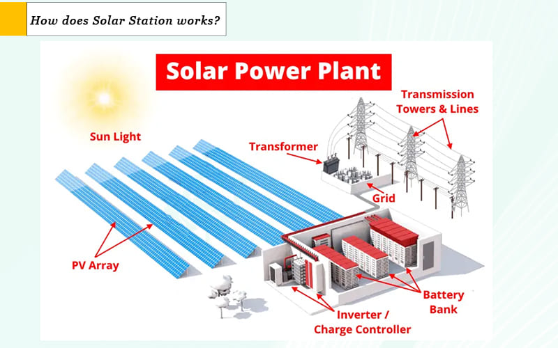 2MWp Project-Turtle feed factory in Huzhou, Zhejiang