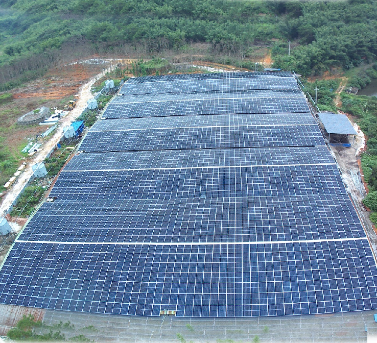 6 MWp Project- Cow Farm in Zhejiang